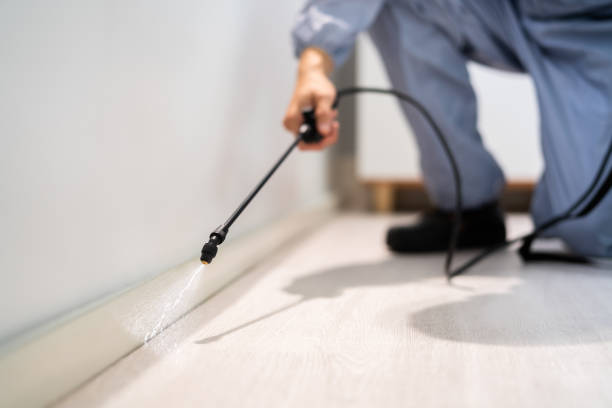Bed Bug Pre-Treatment Preparation Assessment in East Renton Highlands