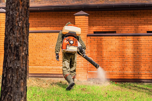 Bed Bug Clearance Verification and Documentation in East Renton Highlands